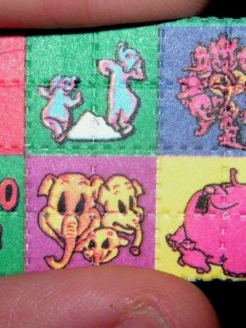 Lysergic acid diethylamide