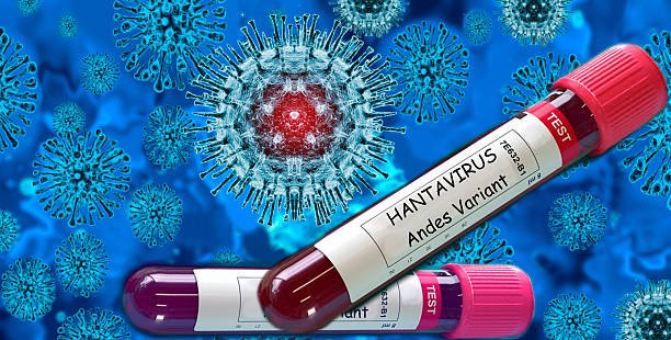 Read more about the article Public Health Infrastructure in Europe: How Countries Monitor and Respond to Hantavirus