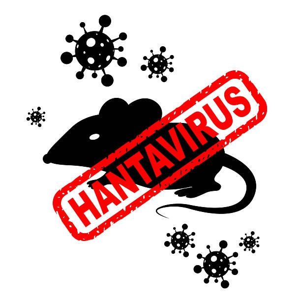 Read more about the article Is There a Cure for Hantavirus in Europe? Current Treatment Options