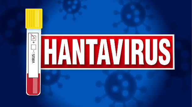 You are currently viewing Camping and Hiking Safety: Real Stories from Hantavirus Survivors of the 1993 Outbreak
