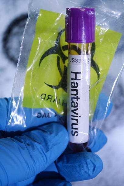 Read more about the article Hantavirus vs. Other Viral Zoonoses in Europe: How It Compares