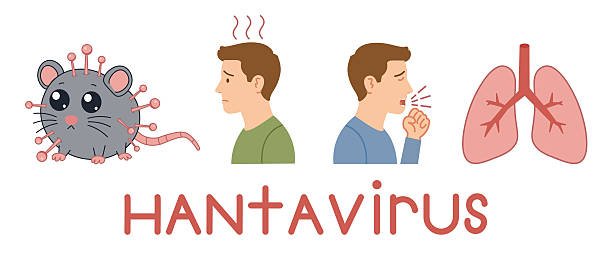 Read more about the article Top 10 Practical Prevention Tips for Hantavirus in European Homes and Farms