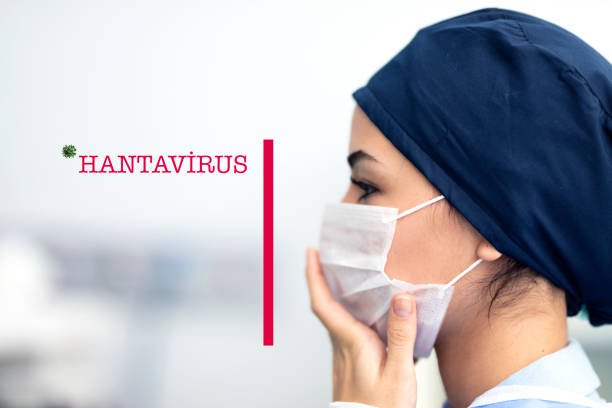 Read more about the article Hantavirus Outbreaks in Europe: Hotspots, Climate, and Risk Prediction